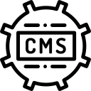 Content Management System (CMS) Development In Pune